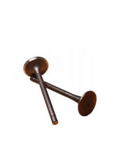 سوپاپ دود و هوا اصلی وانت نیسان دیزل